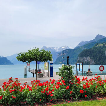 20230622 112252 Kopie